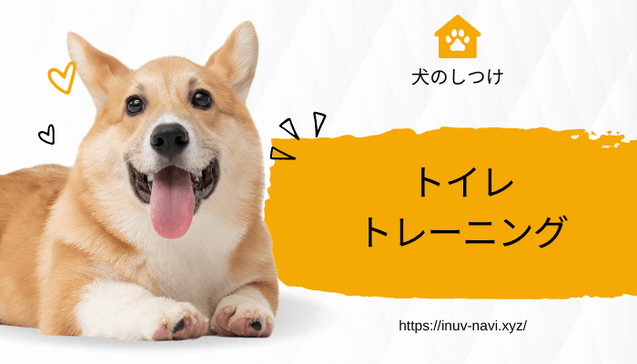 犬　しつけ　トイレ